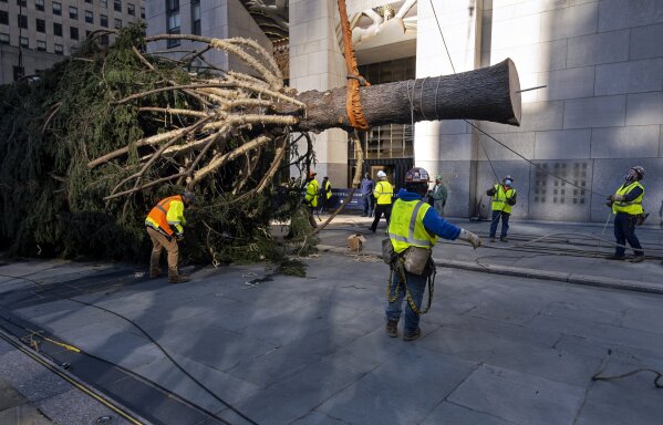 2020 rockefeller center christmas tree cheap